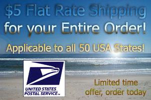 $5 flat rate shipping